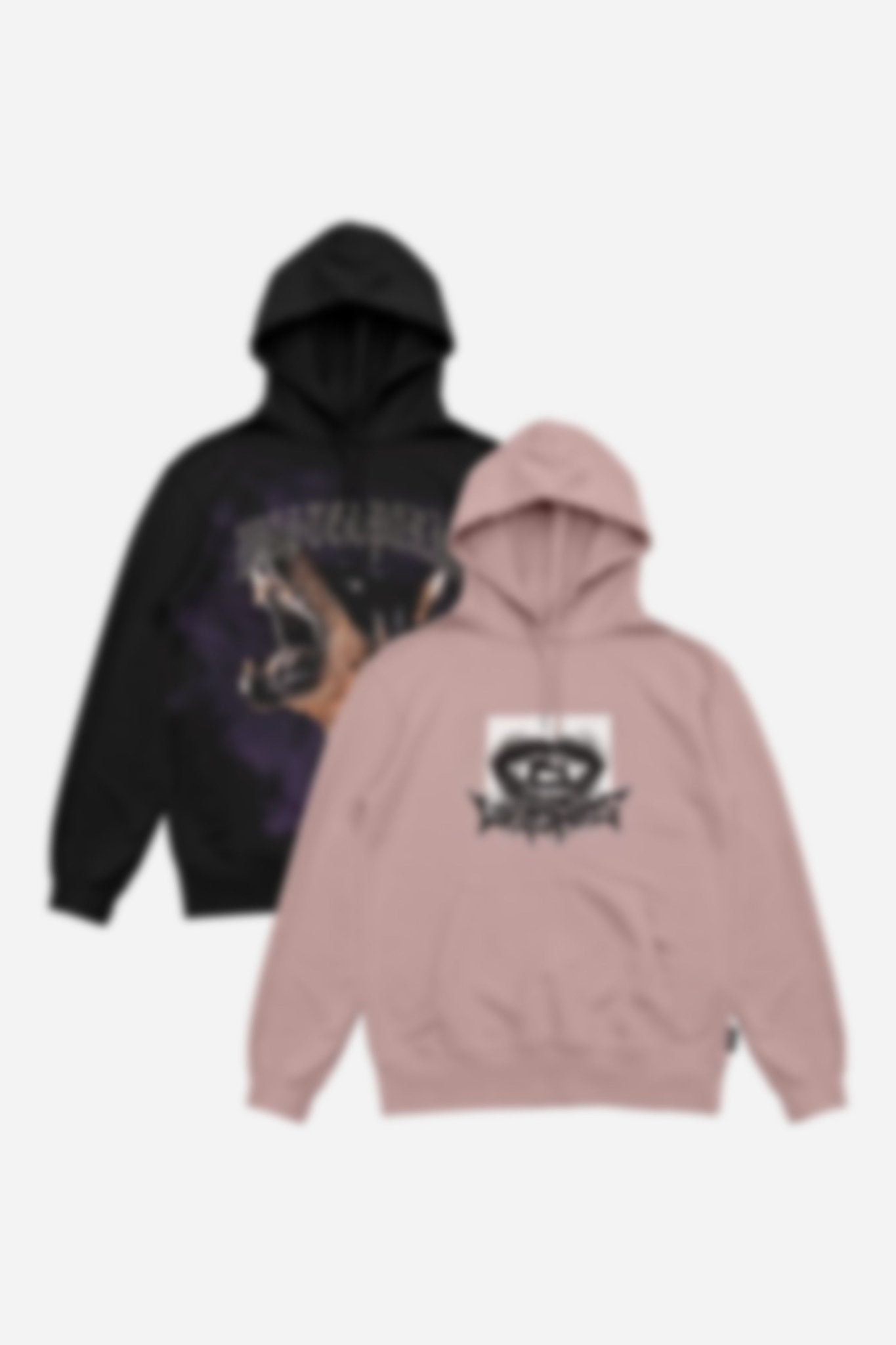 Pack 2 Hoodies - WASTED PARIS